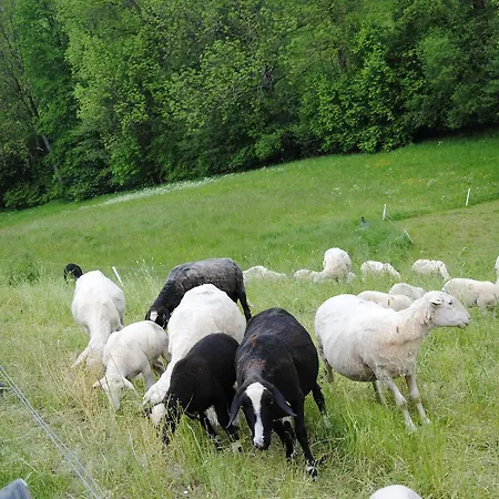Landgasthof Seyrlberg Inn Reichenau im Mühlkreis