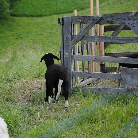 Landgasthof Seyrlberg 3* Reichenau im Mühlkreis