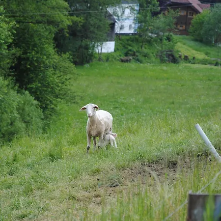 Landgasthof Seyrlberg Inn