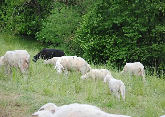Landgasthof Seyrlberg 3* Reichenau im Mühlkreis