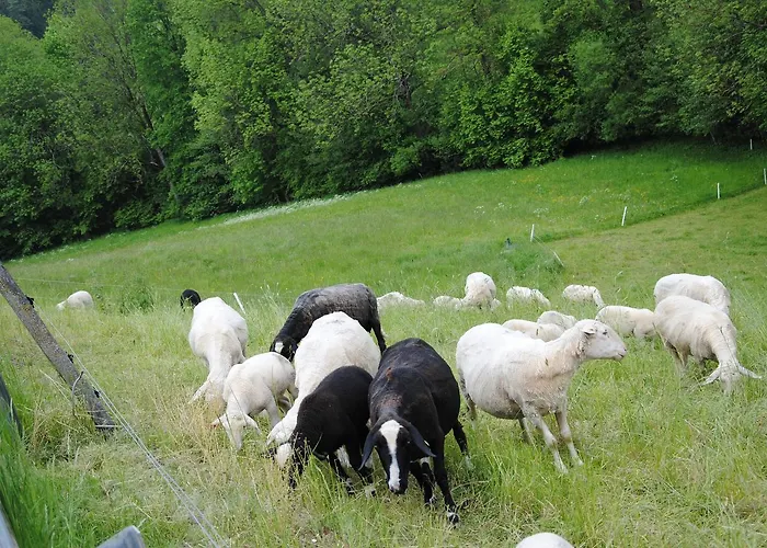 Landgasthof Seyrlberg Kro Reichenau im Mühlkreis
