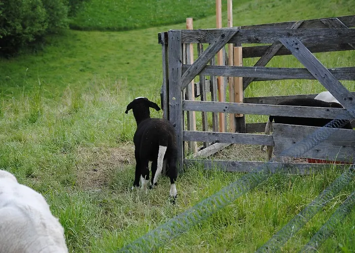 Landgasthof Seyrlberg 3* Reichenau im Mühlkreis