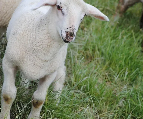 Kro Landgasthof Seyrlberg Reichenau im Mühlkreis
