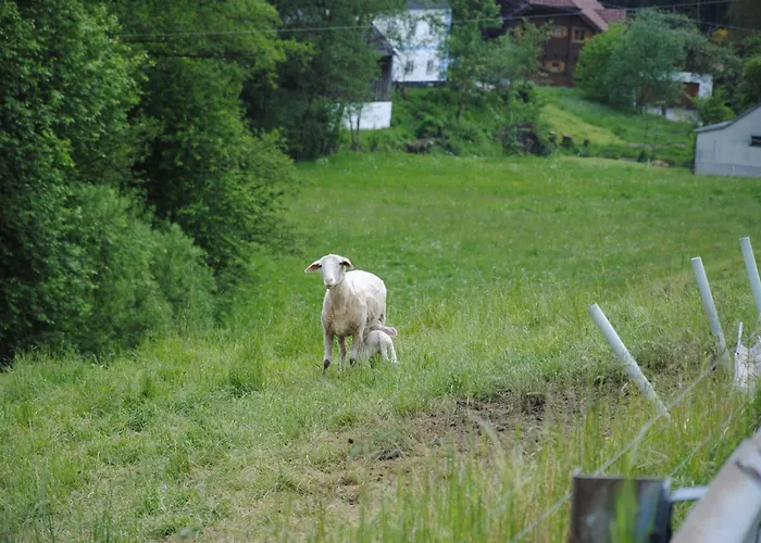 Landgasthof Seyrlberg Kro