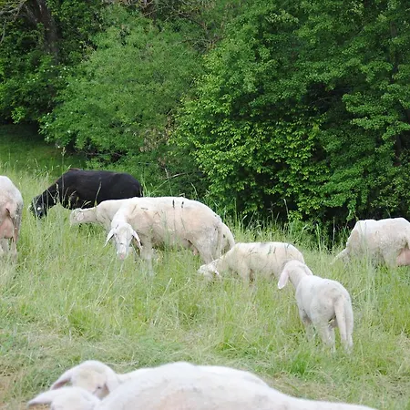 Landgasthof Seyrlberg 3* Reichenau im Muhlkreis
