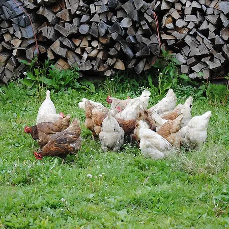 Landgasthof Seyrlberg 3*