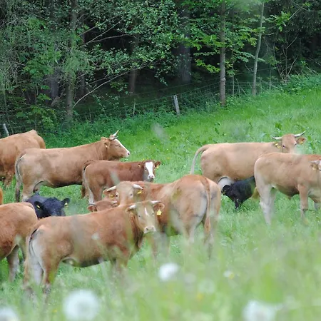 Inn Landgasthof Seyrlberg Reichenau im Muhlkreis