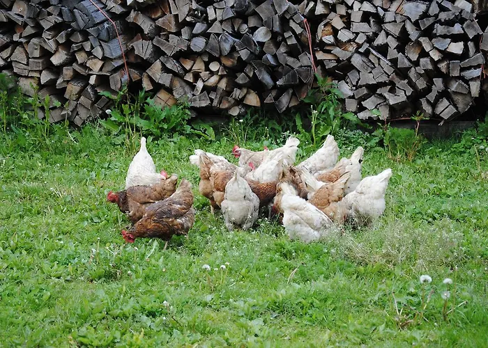 Landgasthof Seyrlberg 3*