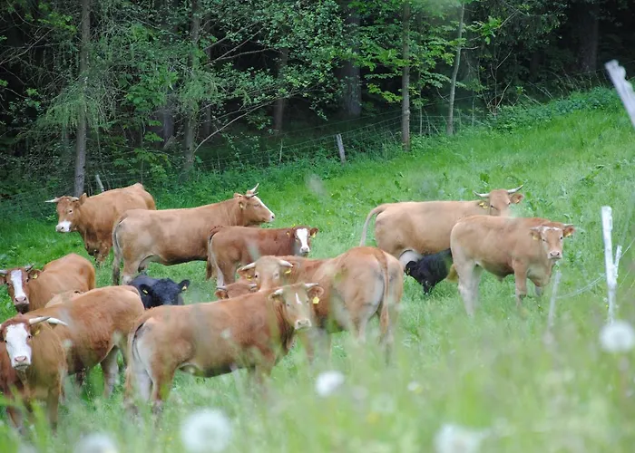 Gasthof Landgasthof Seyrlberg Reichenau im Mühlkreis